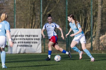 Bild 314 - F Hamburger SV 3 - Blau-Weiss 96 : Ergebnis: 5:1